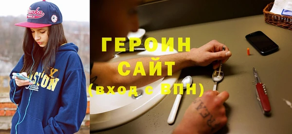 гашик Ельня