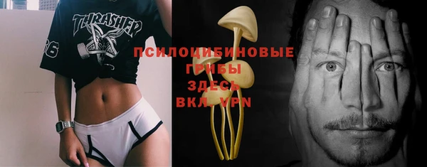 МДПВ Дмитров