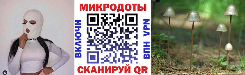 Галлюциногенные грибы Psilocybine cubensis  Купить закладки  Мосальск 